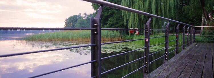Flicfilm Chrome 100  135/36